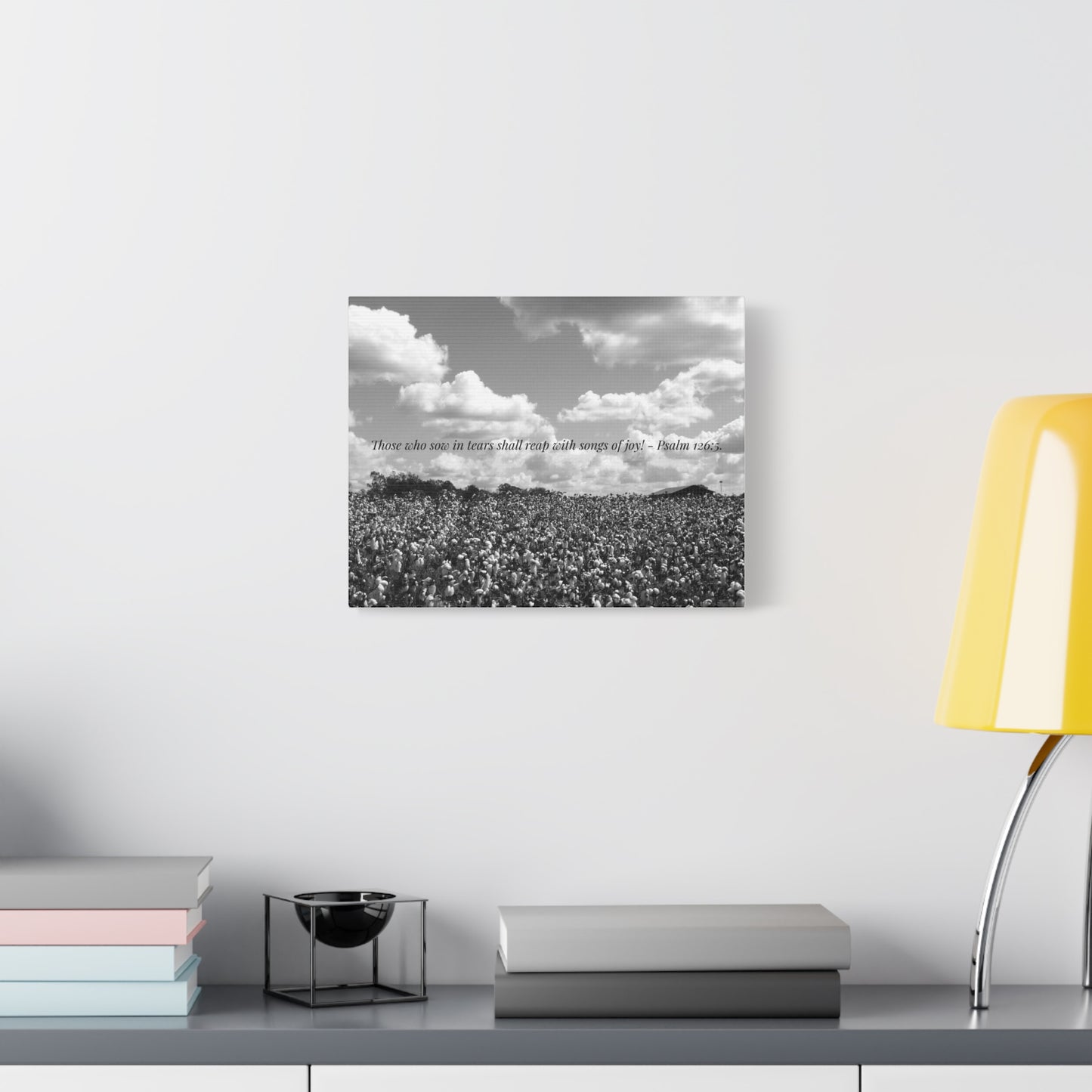 Faithful Harvest Canvas Print – Cotton Field Photography by P. French Barber  Southern-Inspired Christian Wall Art