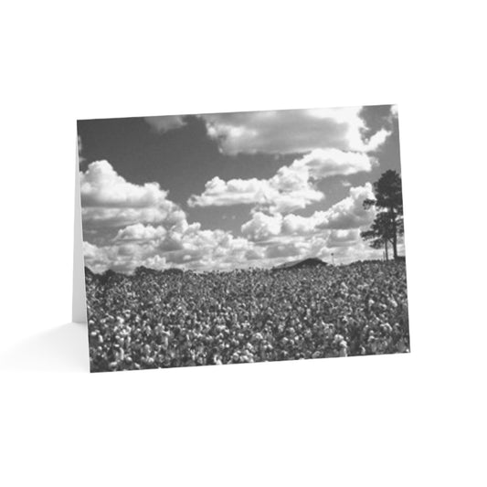 Faithful Harvest Greeting Card – Psalm 126:5 Scripture | Cotton Field Photograph by P. French Barber